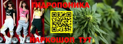 сатива Анжеро-Судженск