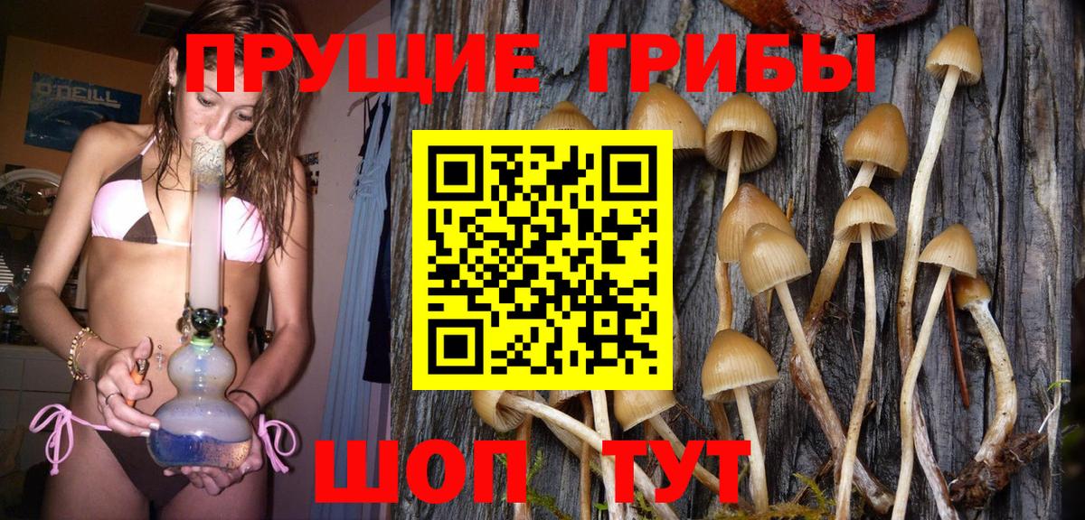 Псилоцибиновые грибы Magic Shrooms  Галлюциногенные грибы GOLDEN TEACHER  Строитель  Вход с VPN 