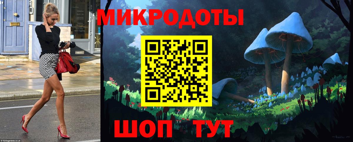 Псилоцибиновые грибы Psilocybe Строитель